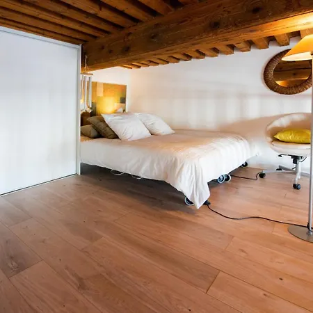 Apartment Le Woody Authentique Des Canuts *